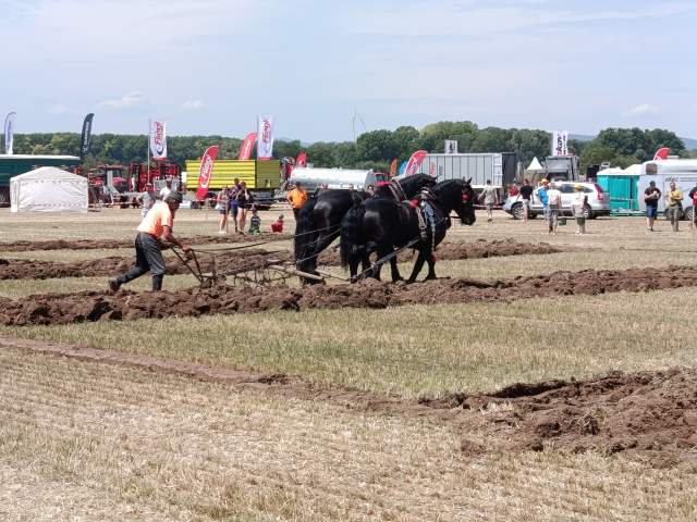 IMG_20260609_112158